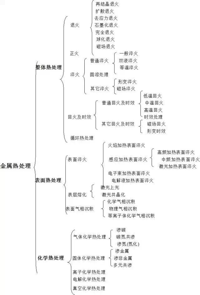 wz20200131-12.jpg